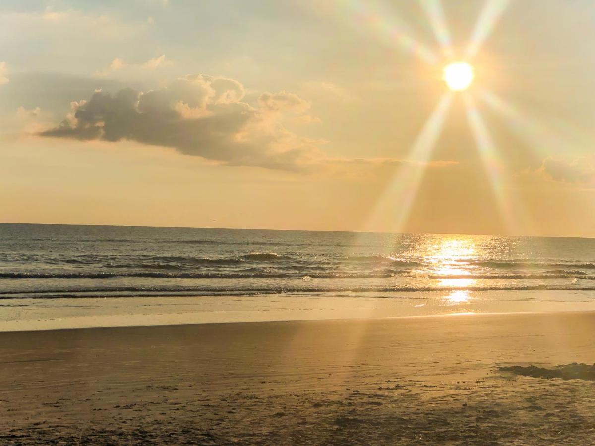 Sand Dollar Condominiums Daytona Beach Shores Exteriör bild