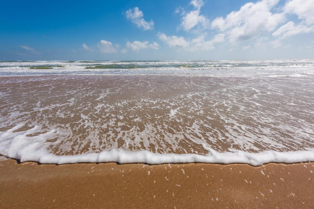 Sand Dollar Condominiums Daytona Beach Shores Exteriör bild